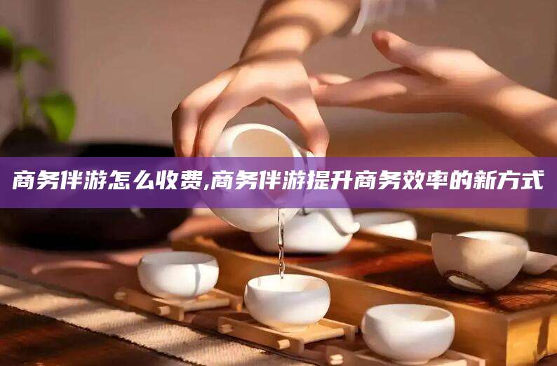 延安商务伴游怎么收费,商务伴游提升商务效率的新方式