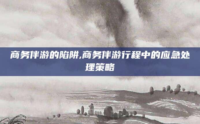 延安商务伴游的陷阱,商务伴游行程中的应急处理策略